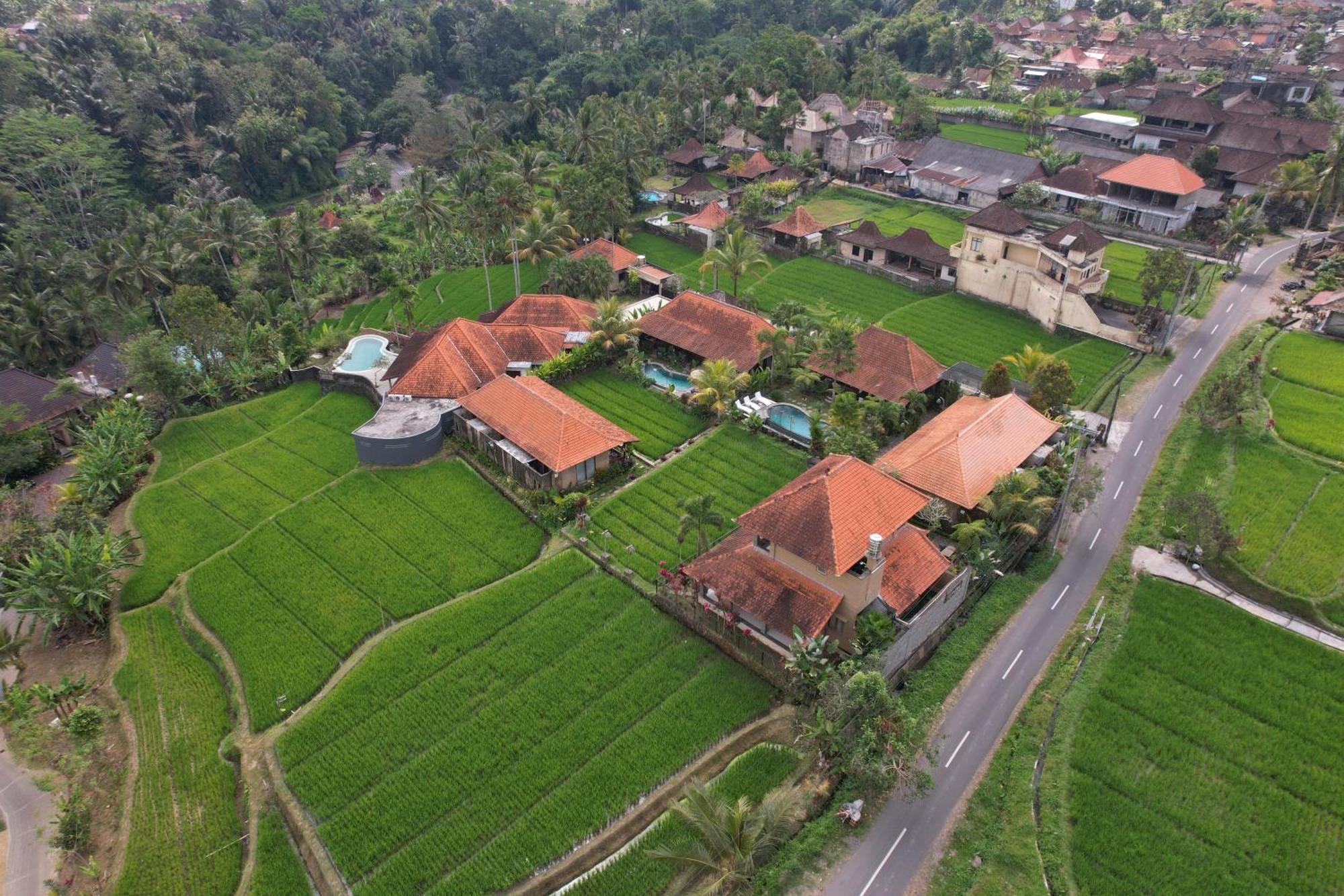 Umakelod Sebatu Villas Ubud Dış mekan fotoğraf