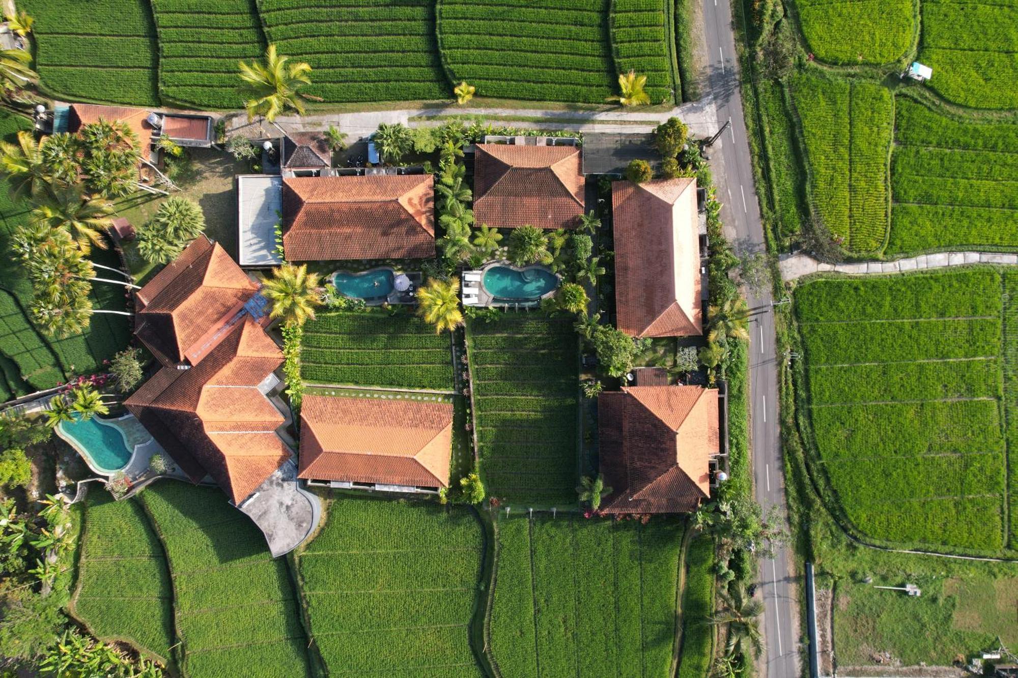 Umakelod Sebatu Villas Ubud Dış mekan fotoğraf